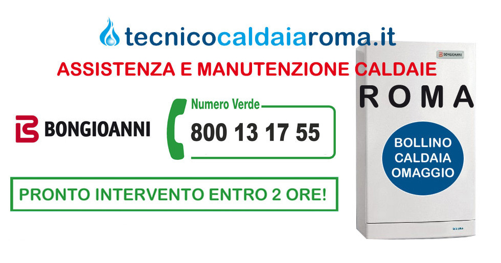 assistenza bongioanni roma