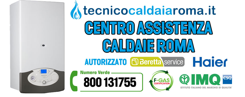 ditta assistenza caldaie roma ditta assistenza caldaie roma