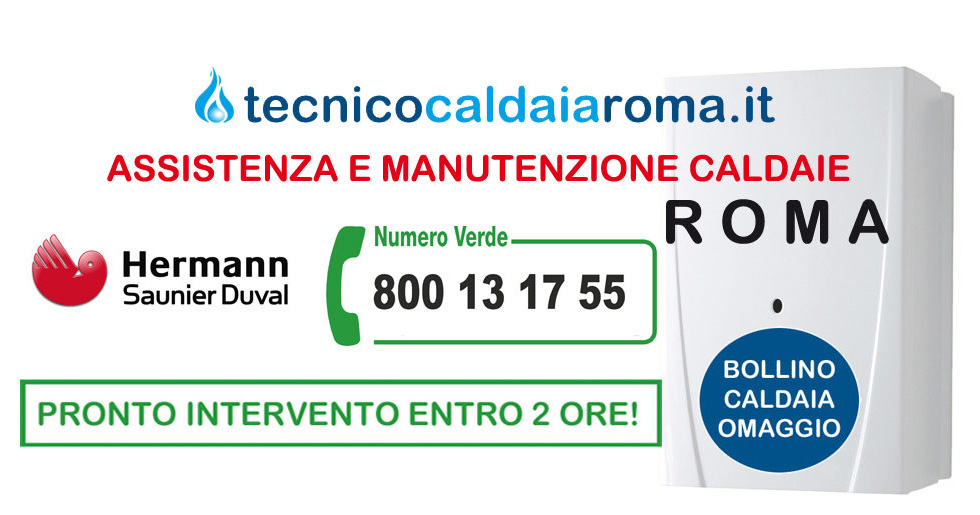 assistenza caldaie saunier duval a roma e provincia assistenza caldaie saunier duval a roma e provincia